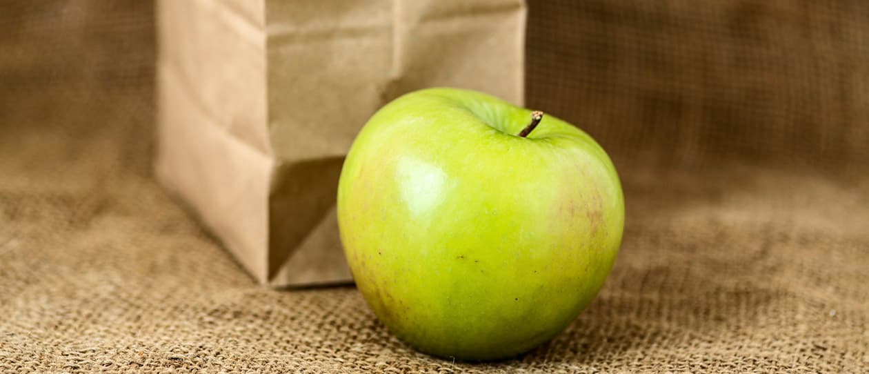 Lunchbox tips for kids 1260x542