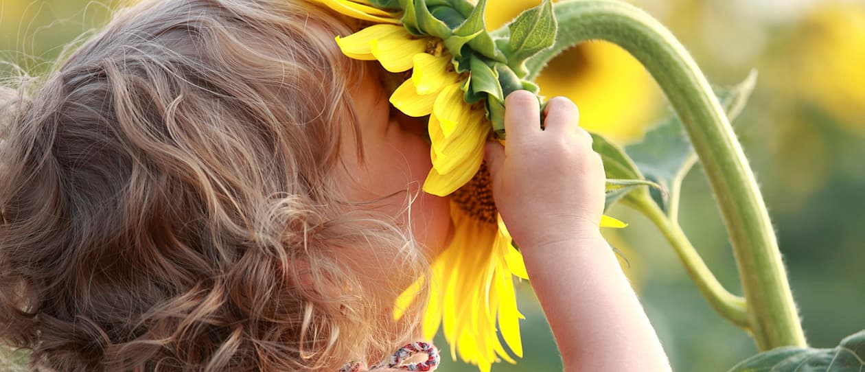 Nature deficit disorder 1260x542