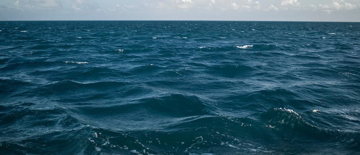 Ocean swimming summerGs competitive sport 1260x542