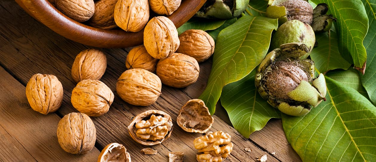 Performance enhancing food in sport 1260x542