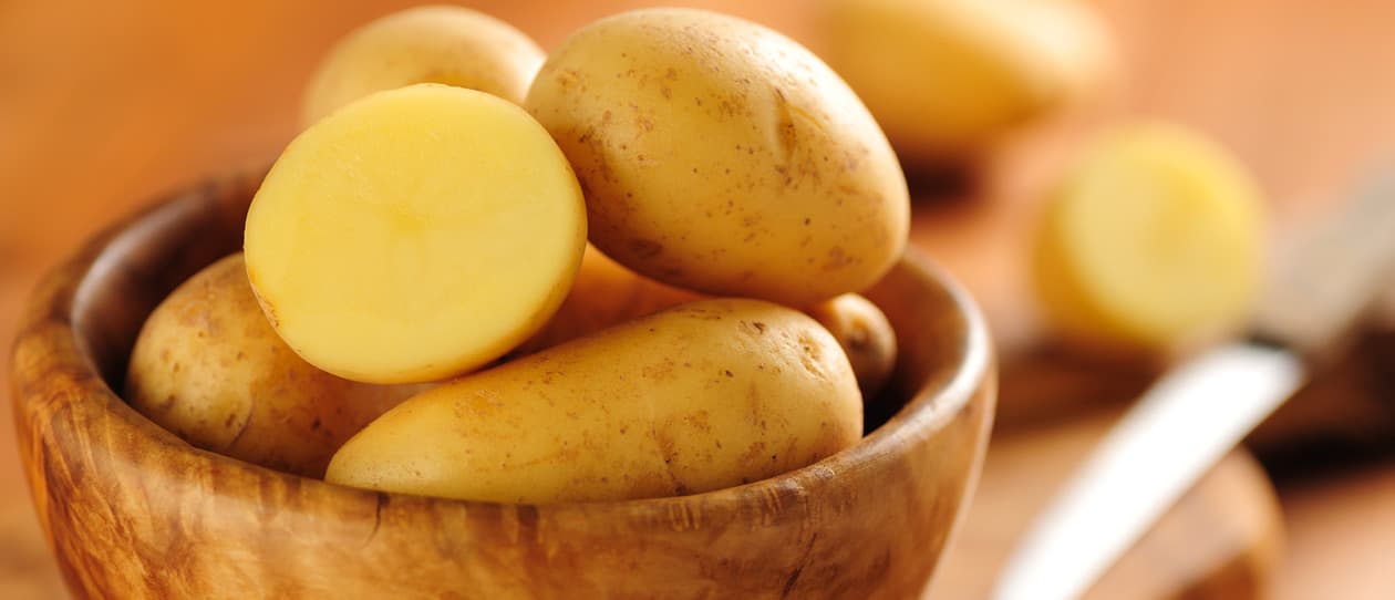 Potatoandsalmoncasserolerecipemain