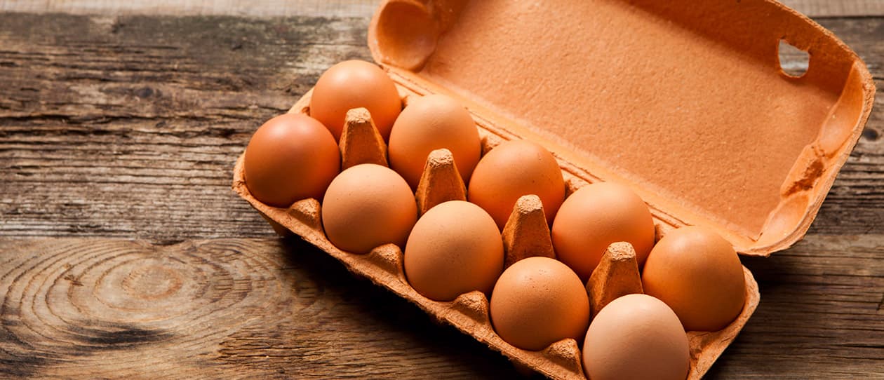 Protein for breakfast could help with weight loss 1260x542