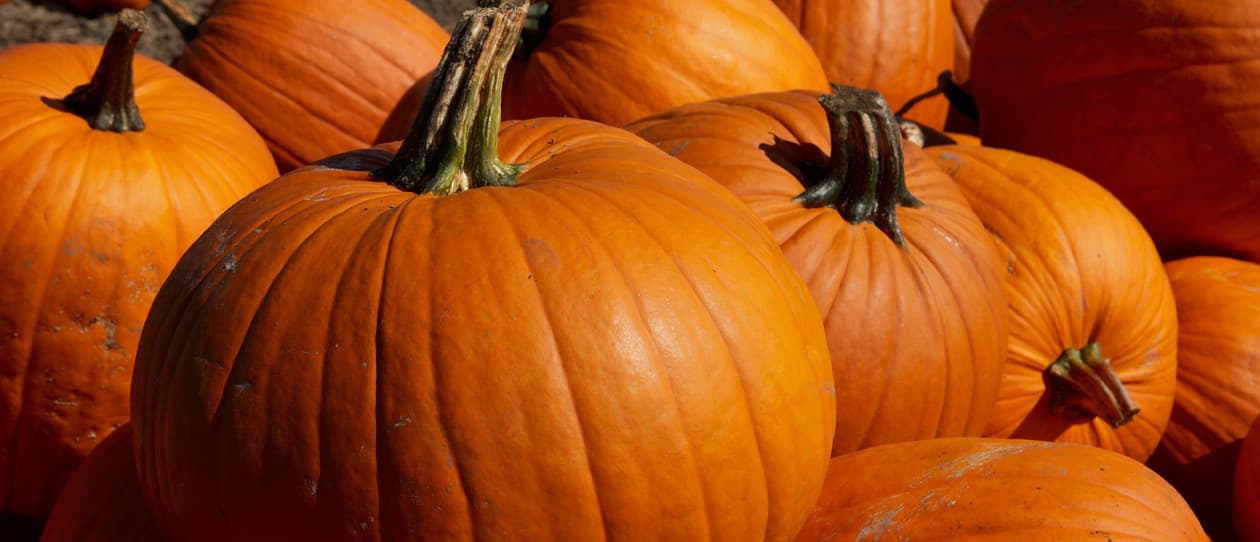 Pumpkinandmushroomrisottorecipemain