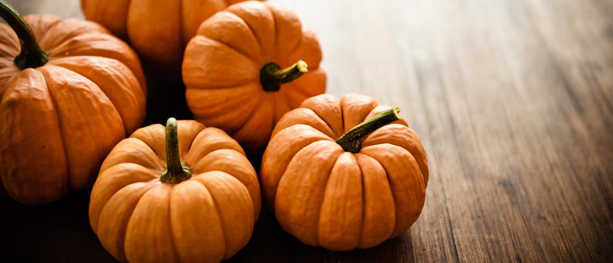 Quinoa pumpkin and carrot stew