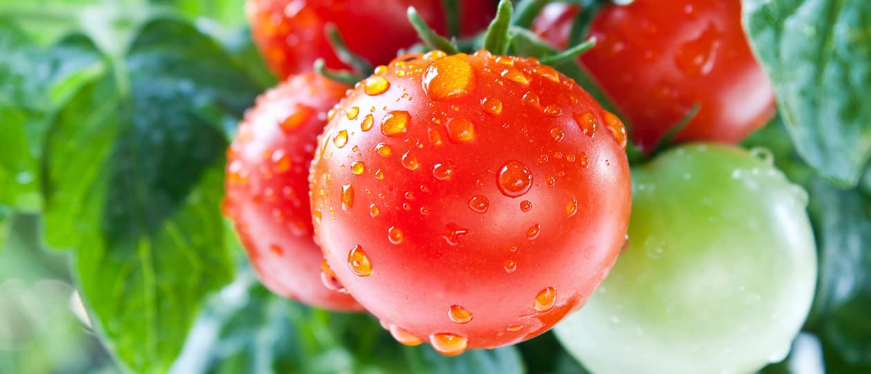 seasonal food for immunity 1260x542