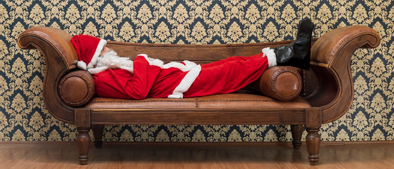 Silly season survival guide 1260x542