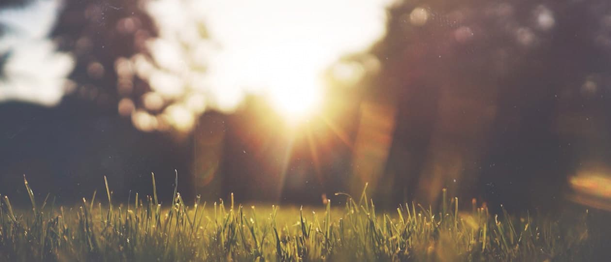 The art of stressing less 1260x542