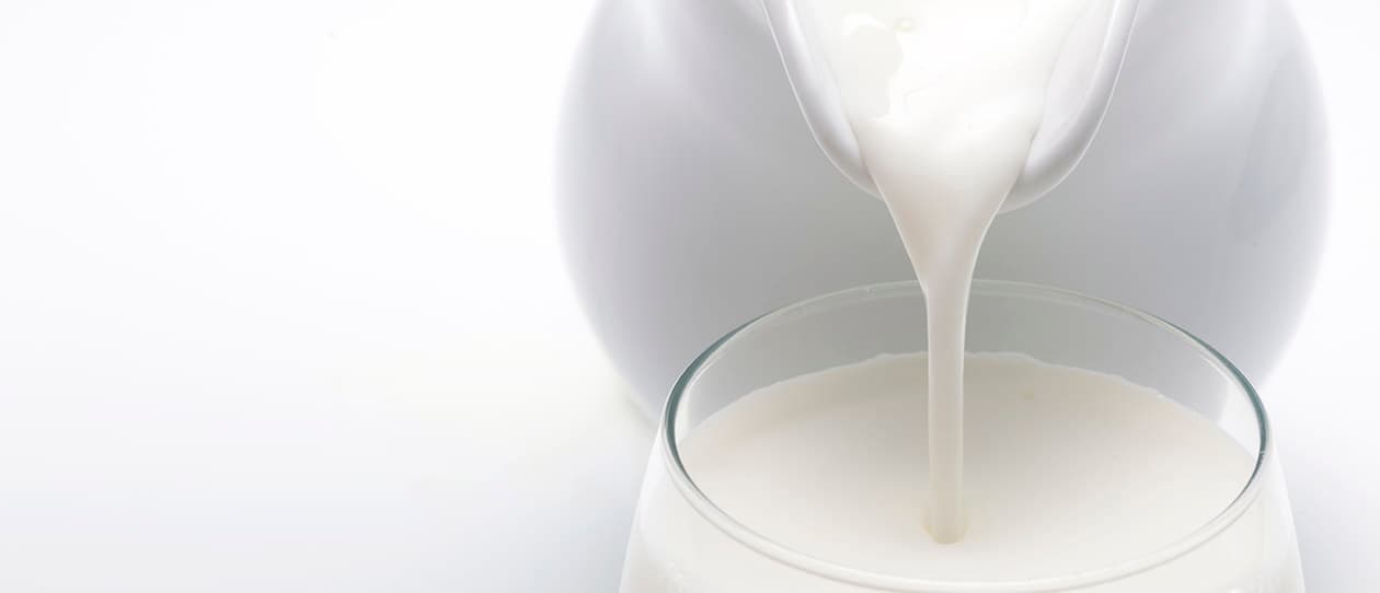 The milk man which milk for your mouth 1260x542