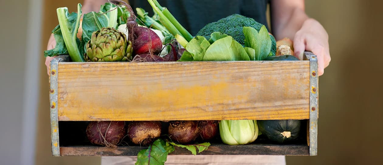 The new sustainable eats