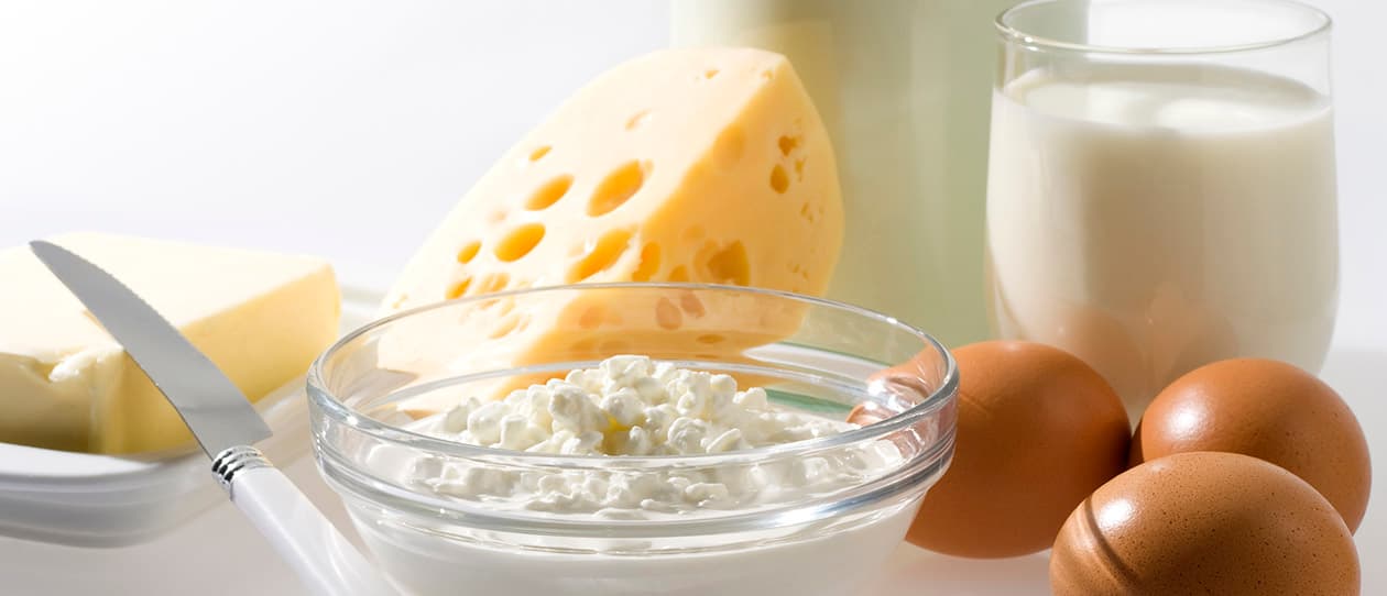 The real deal about dairy 1260x542