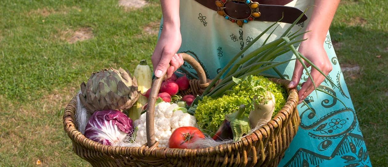 The skinny vegetarian GÇô Fact or fiction 1260x542