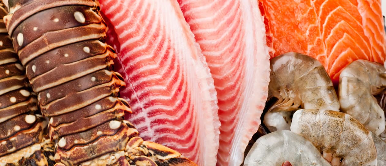 theseasnutrientforyourbrainmain