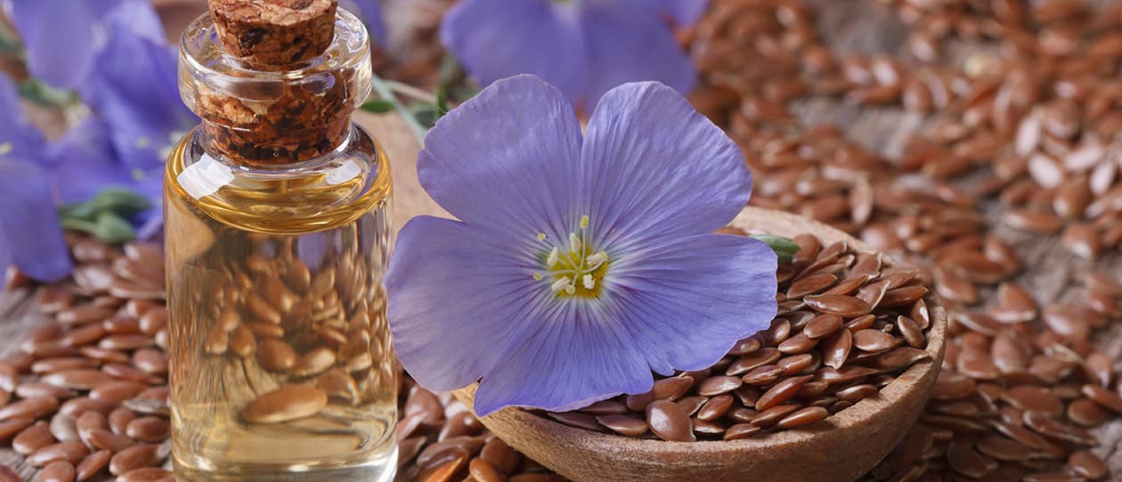 Top 4 essential oils for sensitive tummies 1260x542