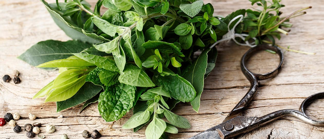 Top 5 herbs for women 1260x542