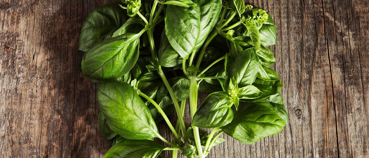 Can a vegetarian diet protect you from gout?