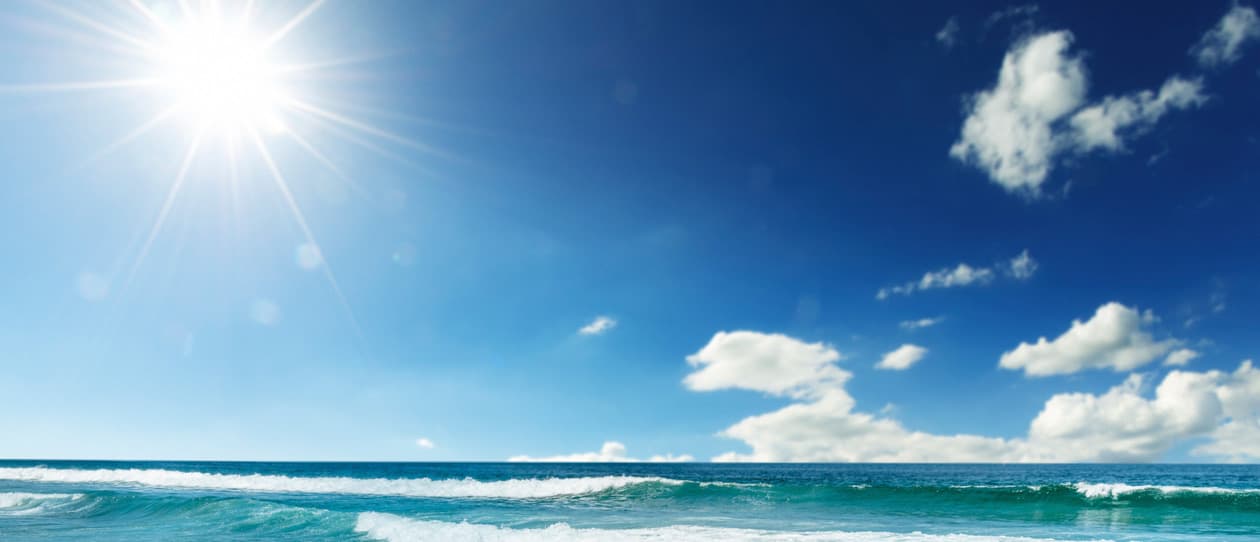 The vitamin D debate 