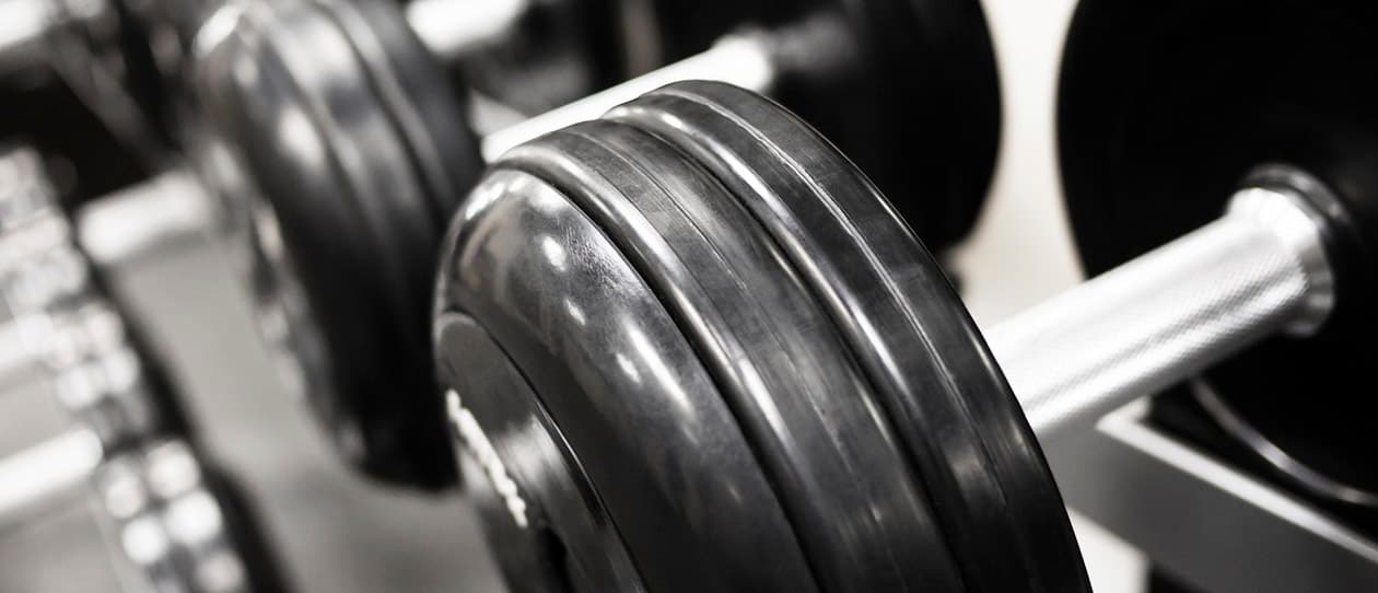 Weight vs Cardio for fat loss 1260x542