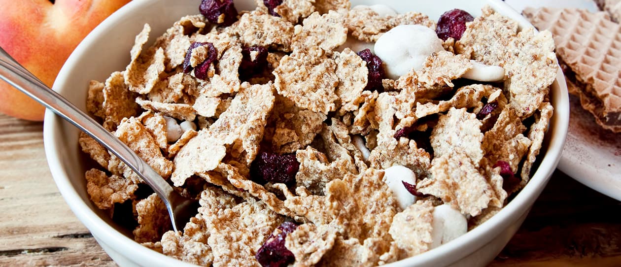 What ants can teach us about breakfast cereal 1260x542