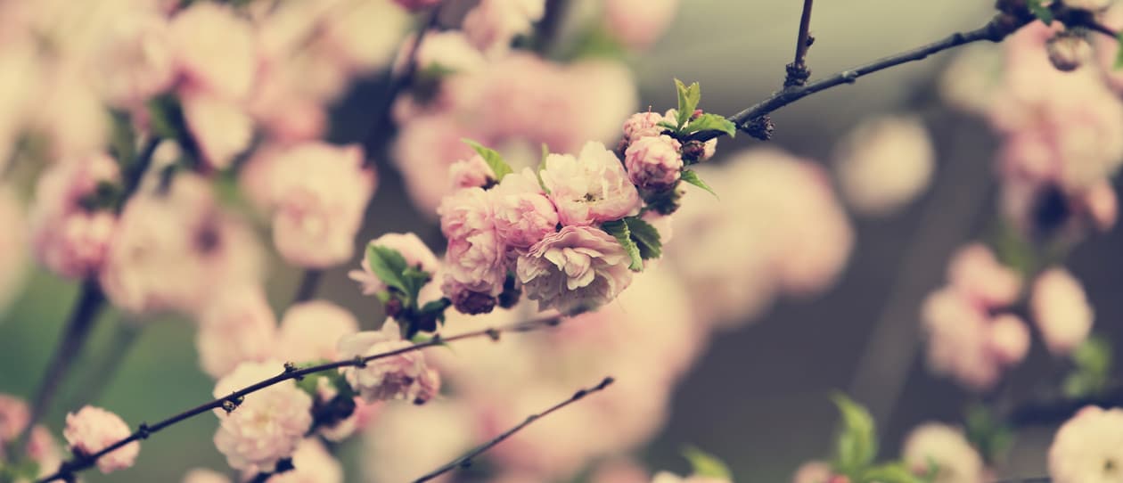 What's in season this spring?