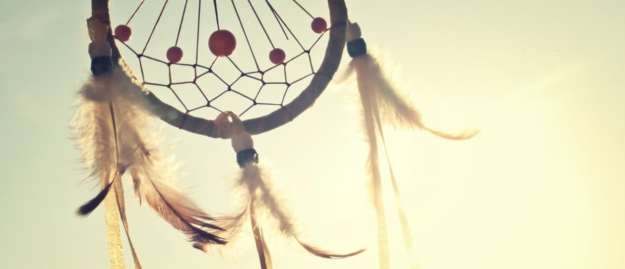 Why we dream