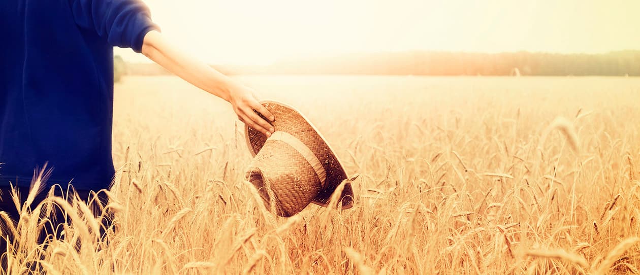 Your body is perfect 1260x542