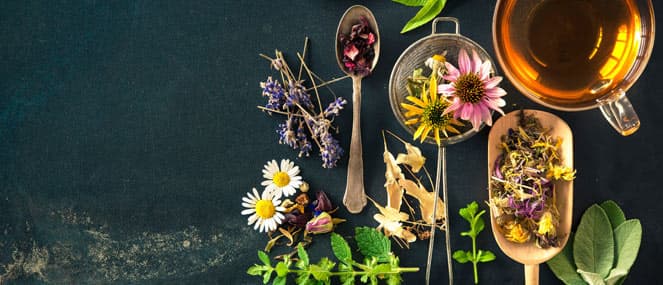 Ask a naturopath