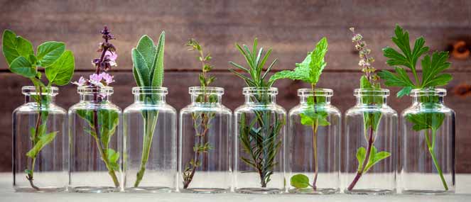 What does a naturopath do? | Blackmores