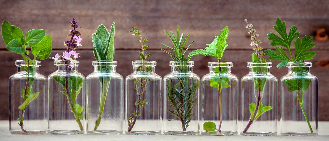 What does a naturopath do? | Blackmores
