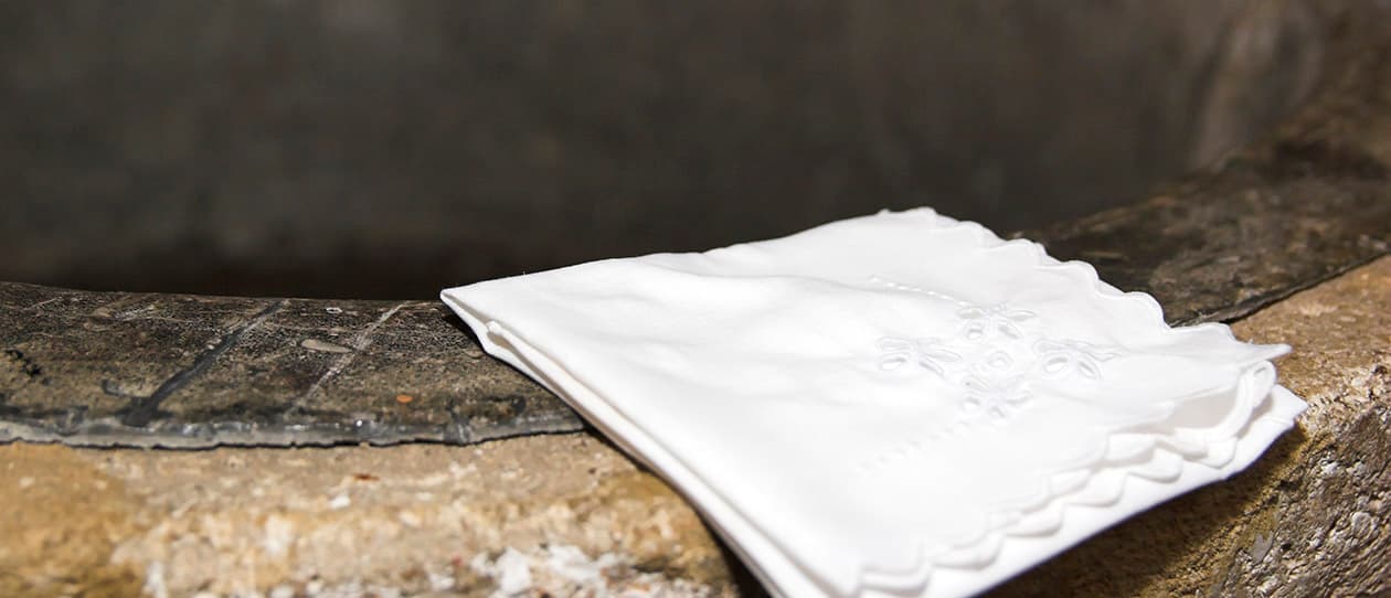 Snot can say a lot 1260x542