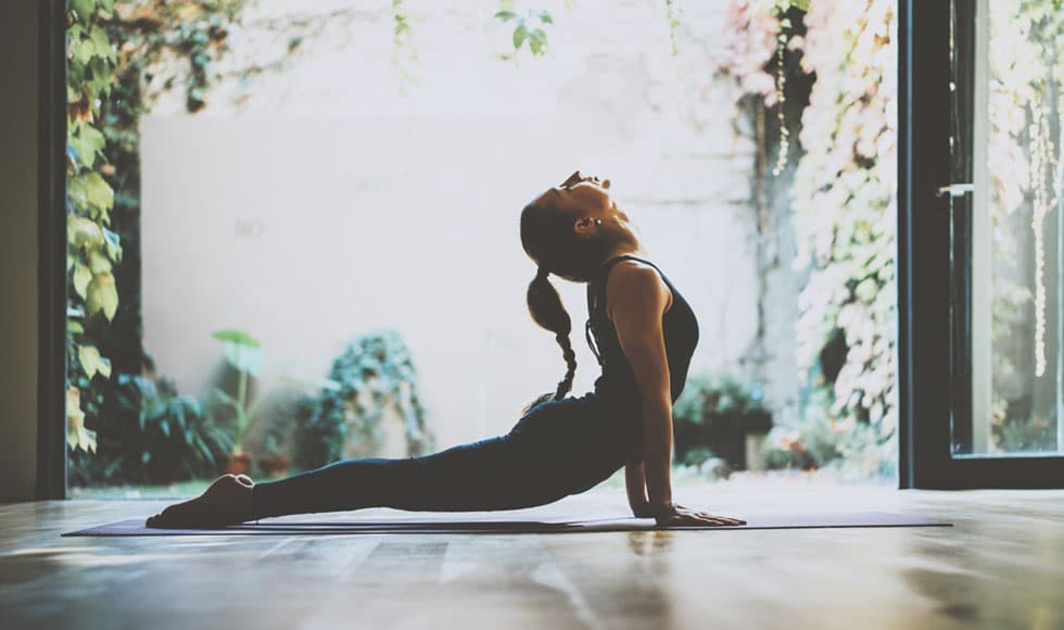 Exercise and the gut microbiome thumb
