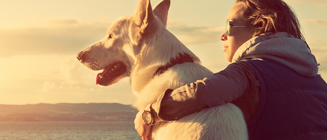 Woman cuddling older dog | PAW by Blackmores