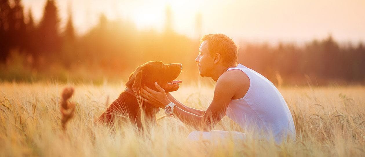 Man hugging dog | PAW by Blackmores
