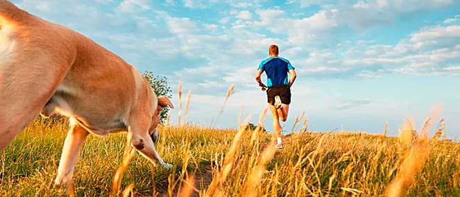 10 best breeds for running thumb