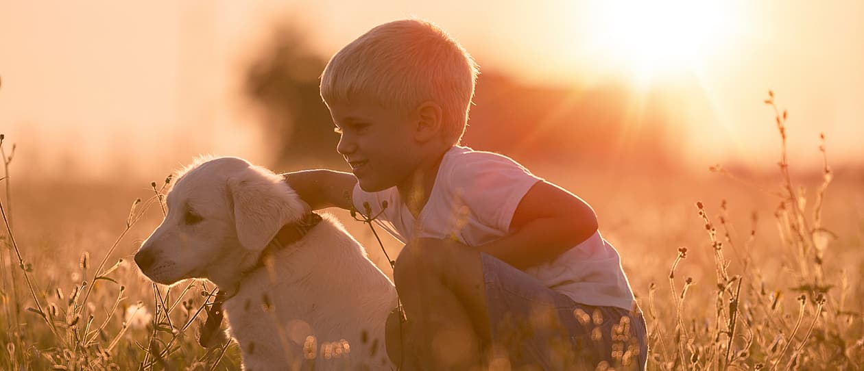 20 things no one tells you about raising a healthy dog main