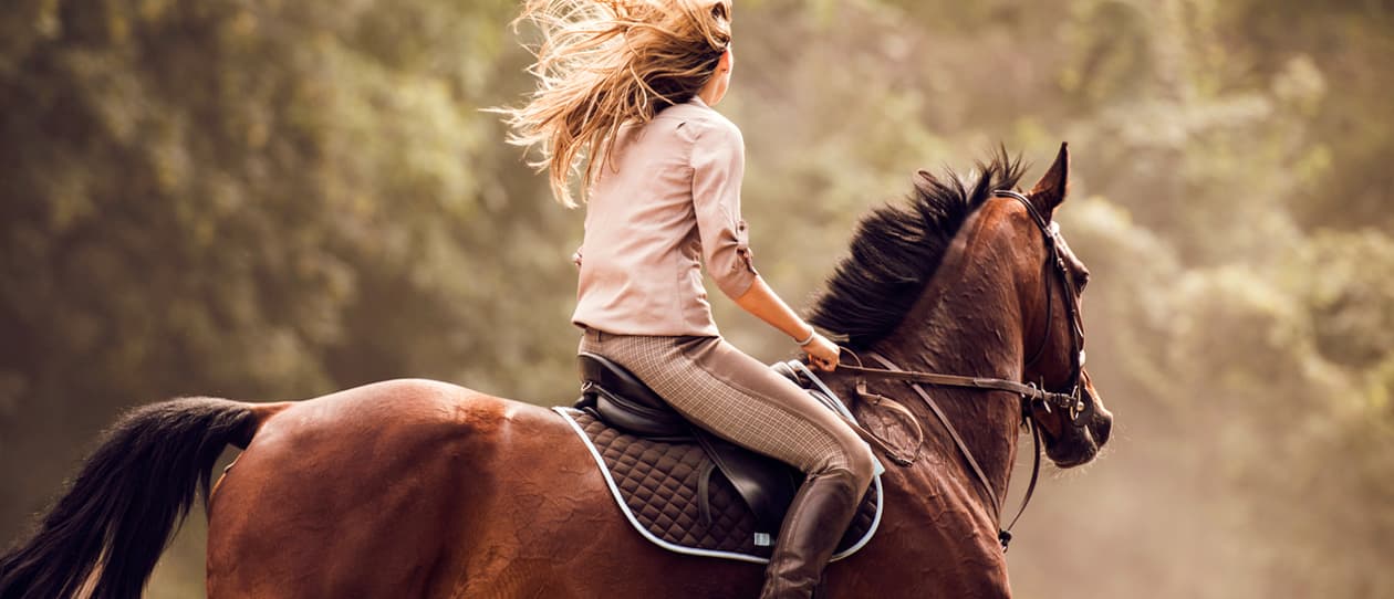 5-horse-experiences-for-the-horse-less-main