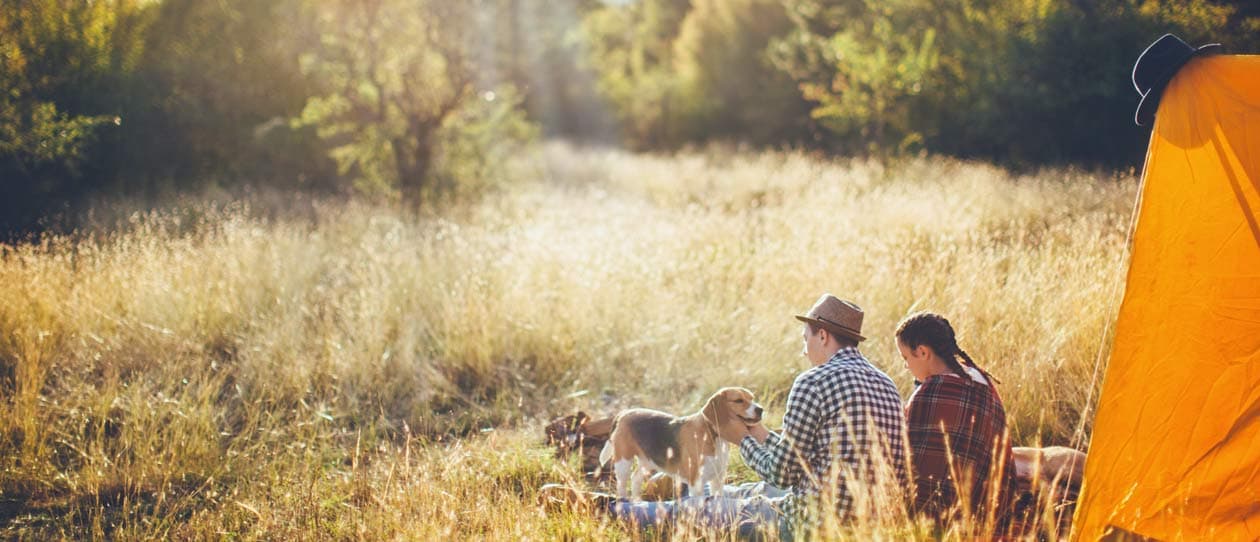 Camping with your dog | Blackmores