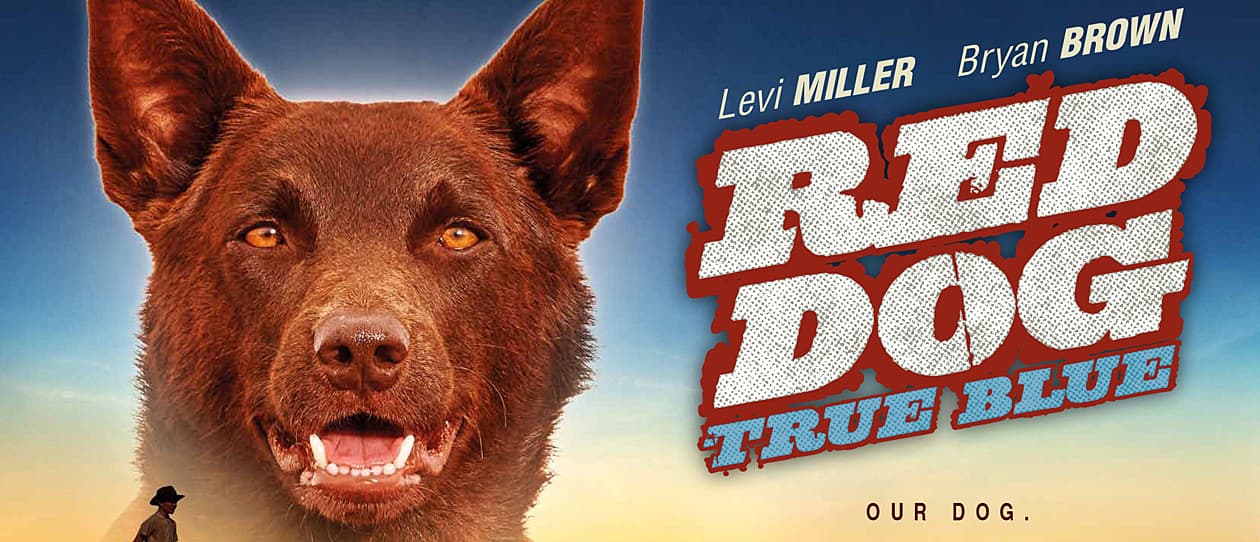 red-dog-main