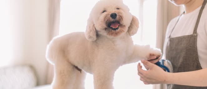 Grooming - 663x285