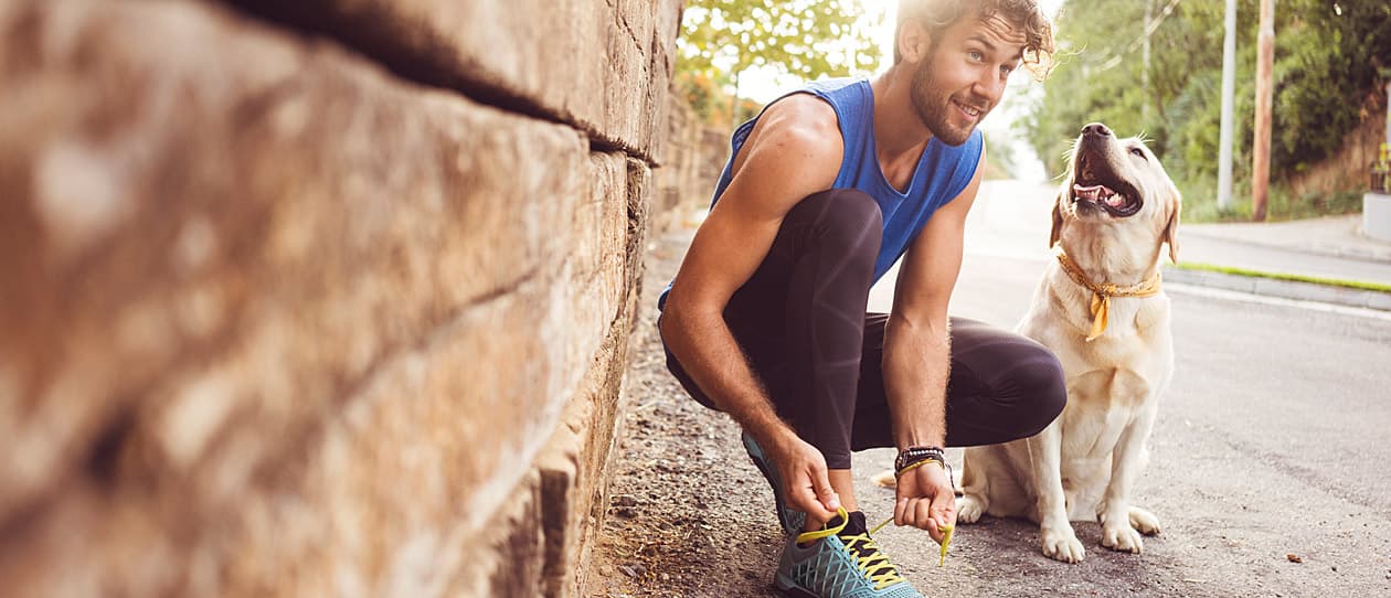 man tying his shoelaces ready to run with labrador