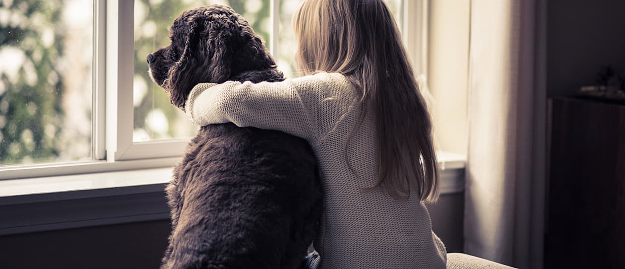 how-to-help-your-pet-beat-arthritis-this-winter-main