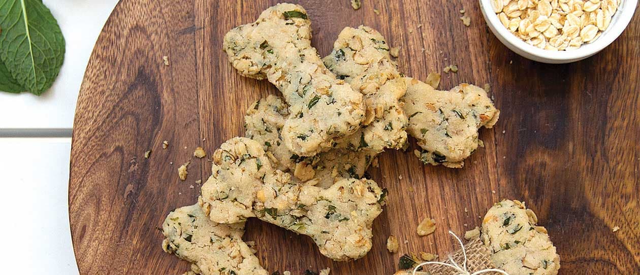 minty_fresh_doggy_biscuits_main