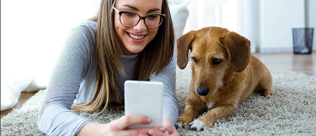 pet-wearables-pet-technology-main