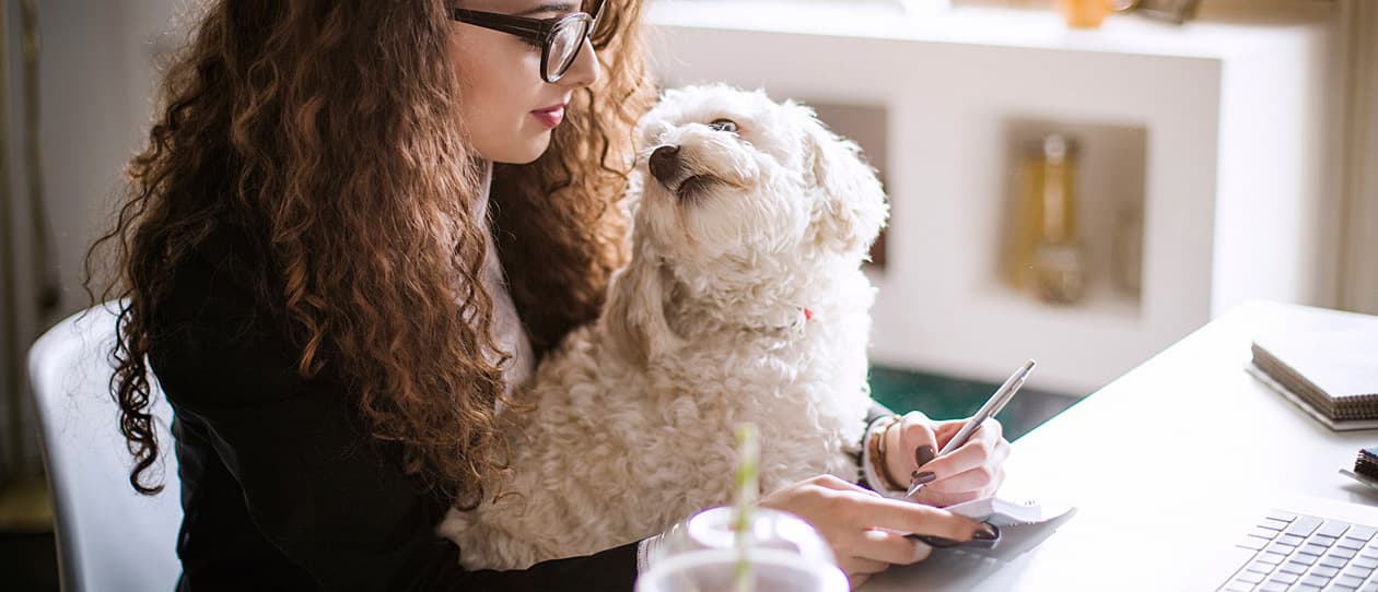Take-dog-work-day-main