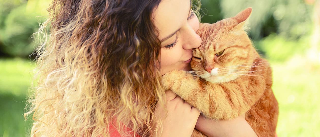 whycatsgoodforhealthmain