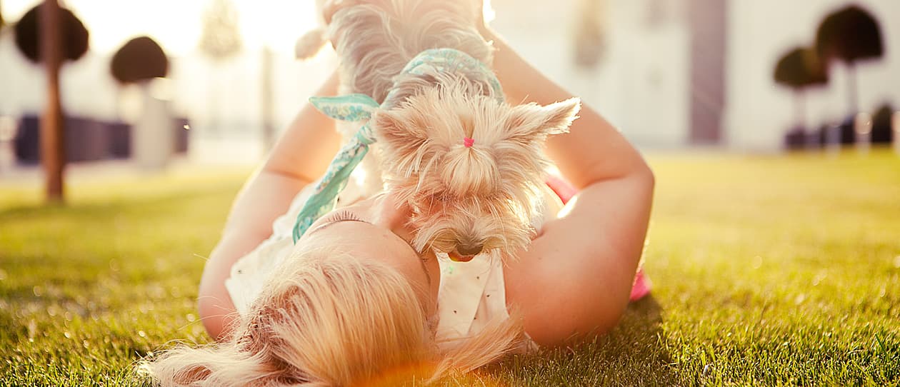 pet-health-2-main