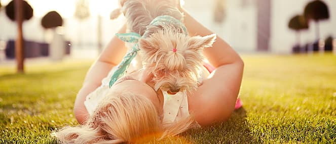 pet-health-2-thumb