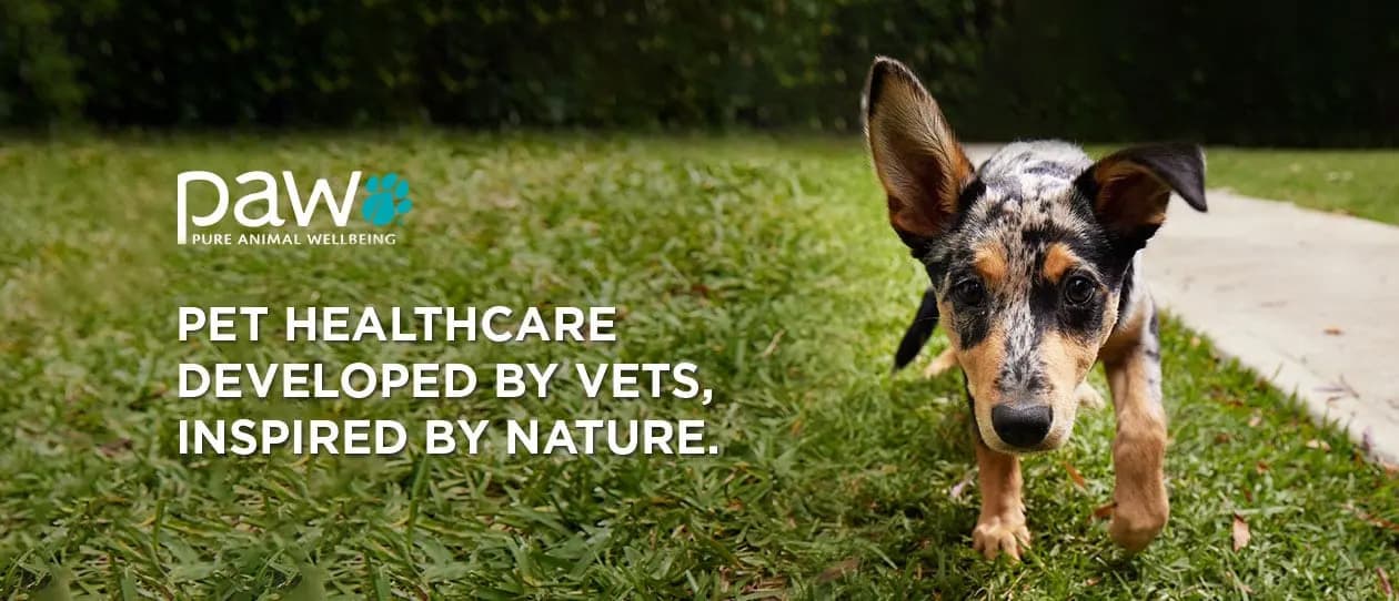 paw-brand-banner_1260x542