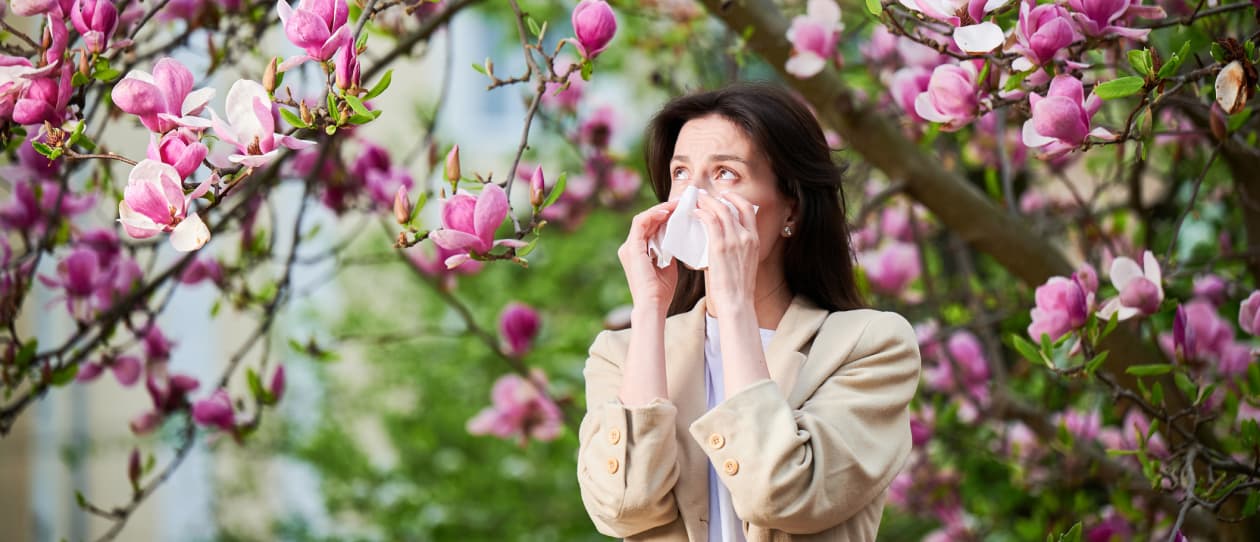 Allergies 1260