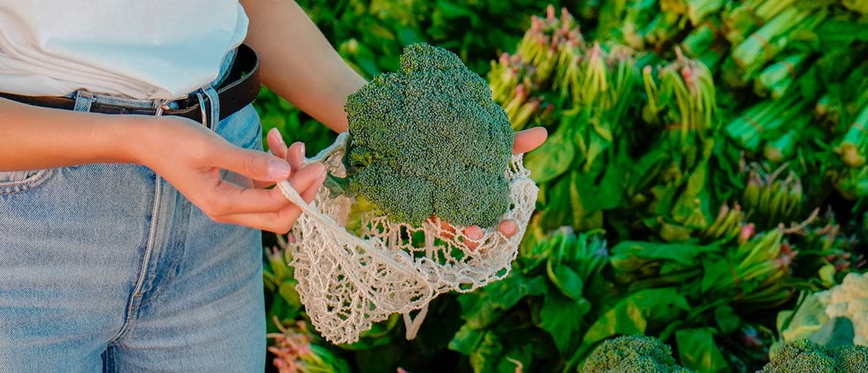 Magnesium-101-1260x542