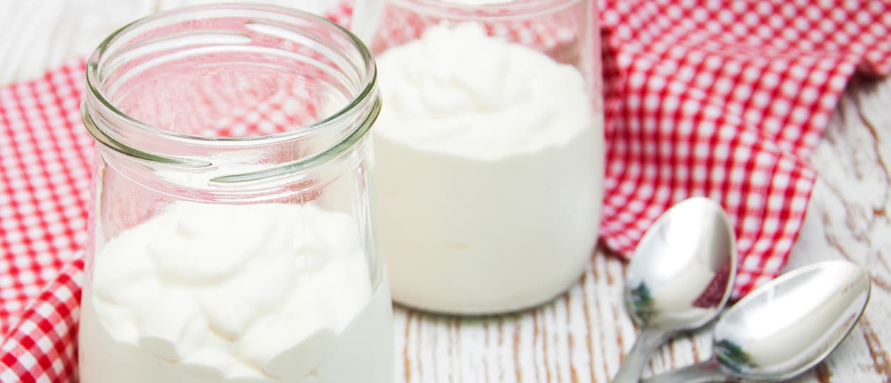 probioticsandantiobioticsmain